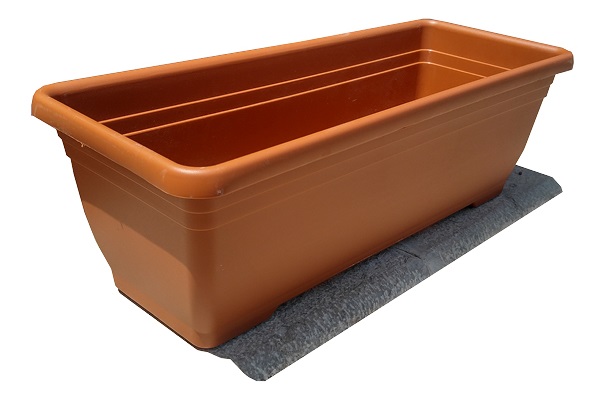 אדנית "איריס"